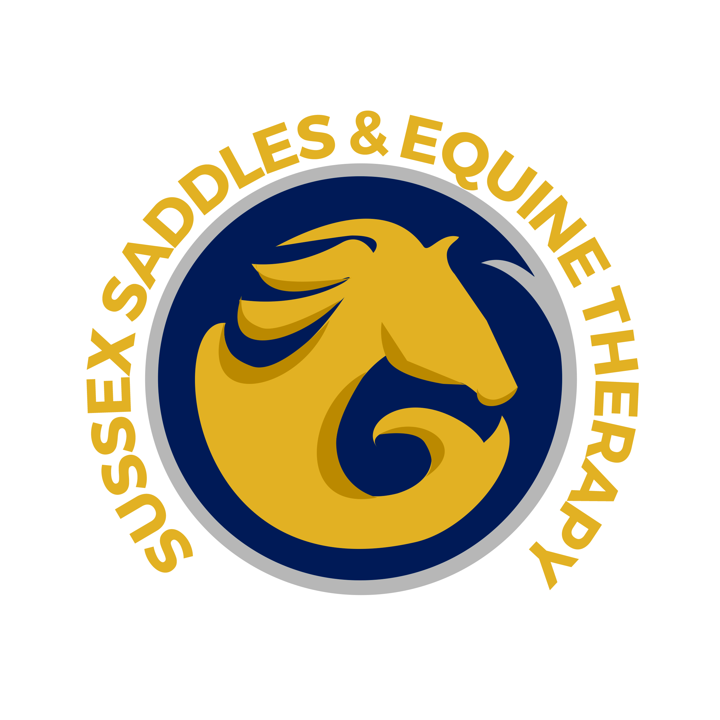 Sussex Saddles & Equine Therapy